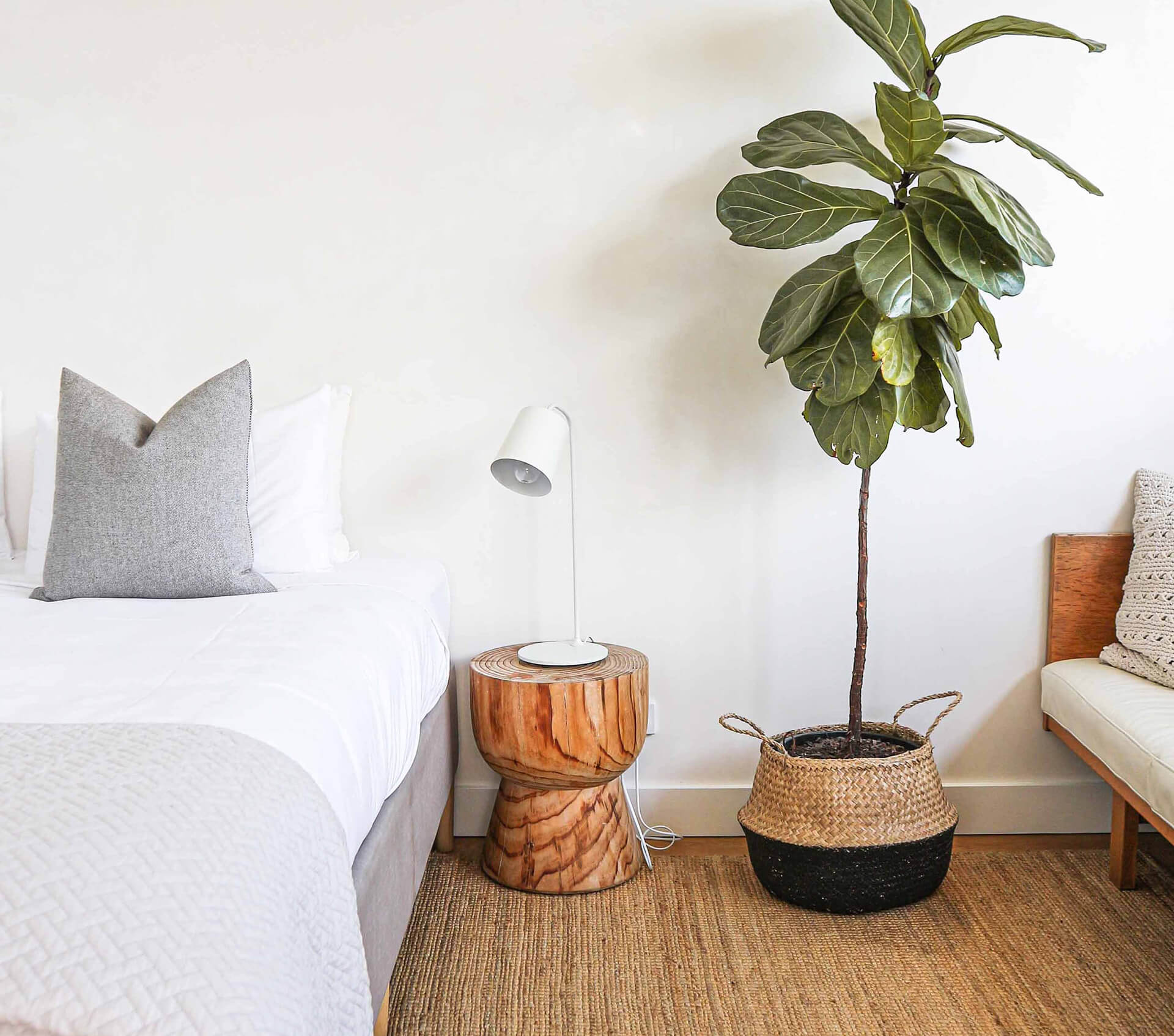 Illustration of Eco Friendly Scandinavian Apartment Renovation Catalog